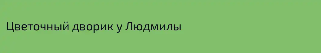 Цветочный дворик у Людмилы